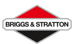Briggs Stratton